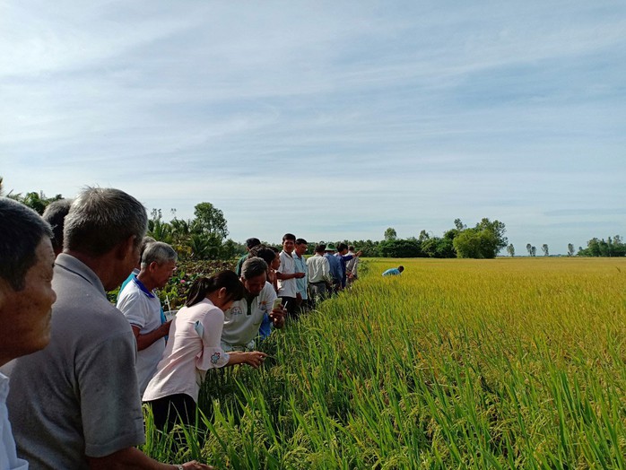 Làm giàu nhờ nghĩ khác, mê lạ - Ảnh 1.