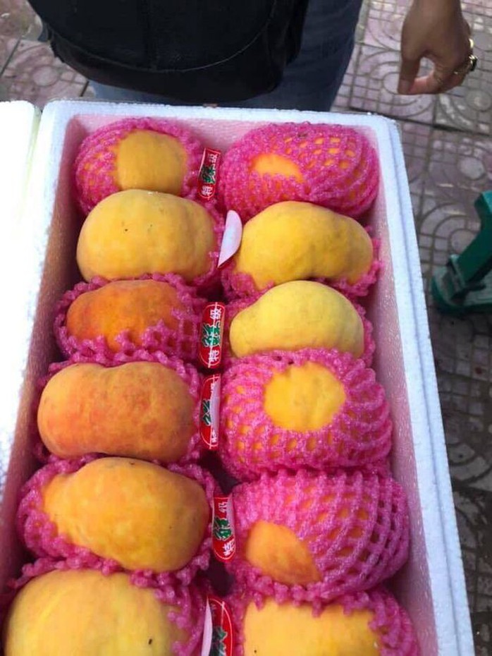 Chơi sang ăn đào Tây Ban Nha, ngã ngửa vì hàng Trung Quốc - Ảnh 2. Chơi sang ăn đào Tây Ban Nha, ngã ngửa vì hàng Trung Quốc - Ảnh 2.