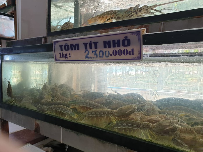 Nhà hàng ở Đà Nẵng lý giải hóa đơn bữa ăn hải sản 85 triệu đồng - Ảnh 4.