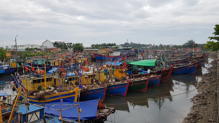 Hải Phòng, Quảng Ninh căng mình ứng phó bão số 3 đổ bộ - Ảnh 2.