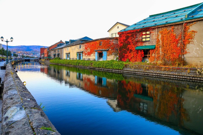 Hokkaido - vùng đất đón mùa thu sớm nhất Nhật Bản - Ảnh 3. Hokkaido - vùng đất đón mùa thu sớm nhất Nhật Bản - Ảnh 3.
