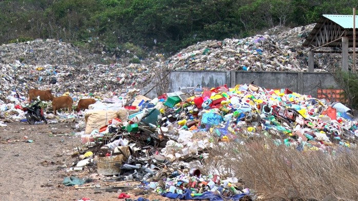 Bỏ phương án đưa rác từ Côn Đảo vào đất liền chôn lấp - Ảnh 1.
