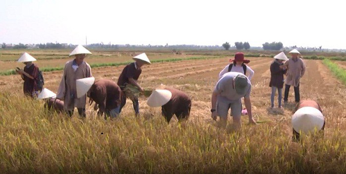 Du lịch trải nghiệm Hội An lên ngôi - Ảnh 3.