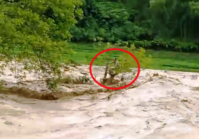 Nam thanh niên nhảy xuống cứu người đàn ông ôm cây giữa dòng nước lũ suốt 10 giờ - Ảnh 2.