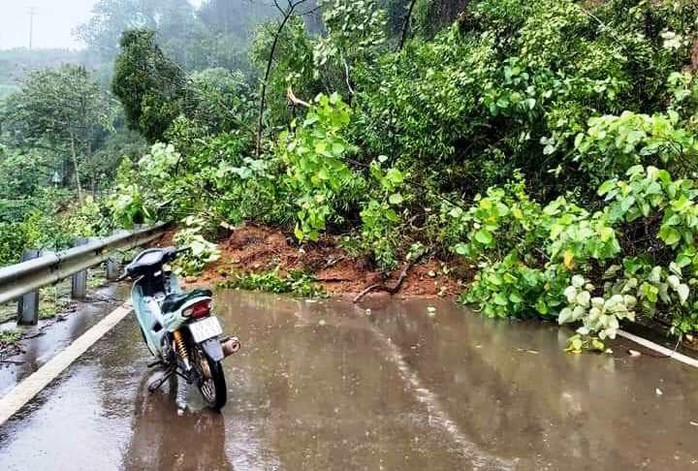 Lâm Đồng: Mưa lớn gây sạt lở đất, cô lập nhiều nơi - Ảnh 6.