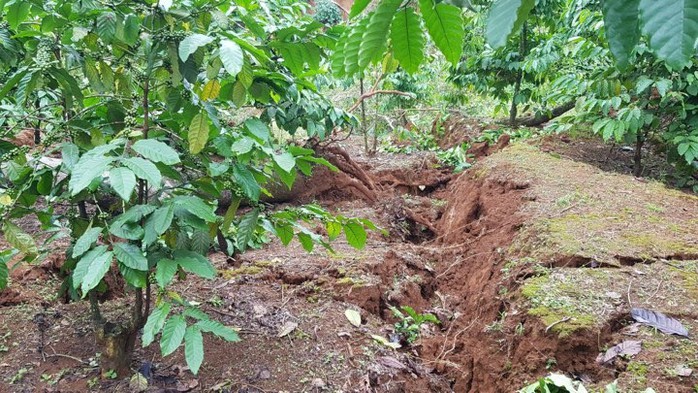 Nhiều khu vực tỉnh Bình Phước thiệt hại hơn 7 tỷ đồng do mưa lũ - Ảnh 1.