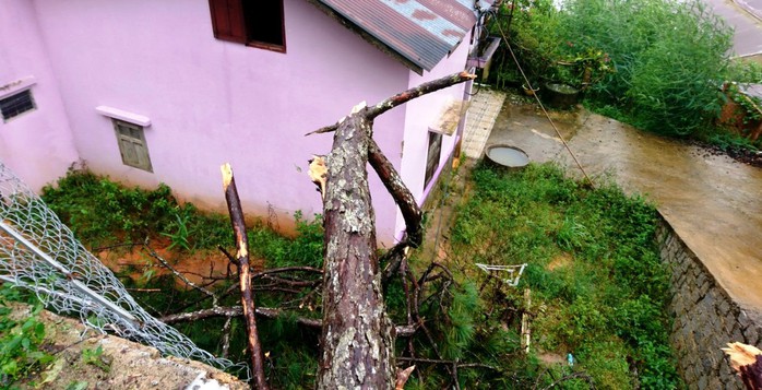 Lâm Đồng: Cây gãy đổ, ngập lụt, sạt lở đất nhà tốc mái la liệt do mưa bão - Ảnh 6.