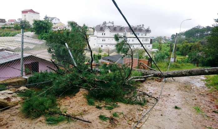 Lâm Đồng: Cây gãy đổ, ngập lụt, sạt lở đất nhà tốc mái la liệt do mưa bão - Ảnh 7.