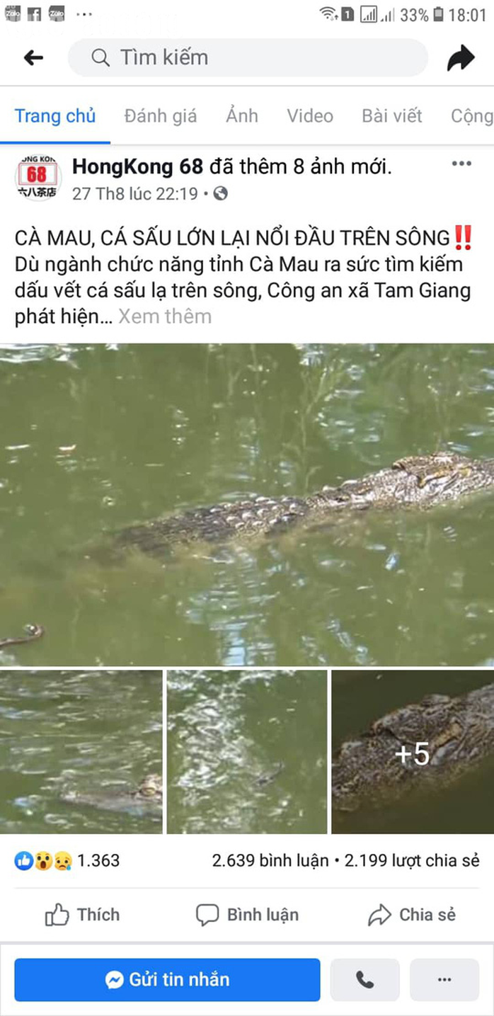 Fanpage quán trà sữa ở Cần Thơ đăng thông tin cá sấu xuất hiện ở Cà Mau để câu like - Ảnh 1.