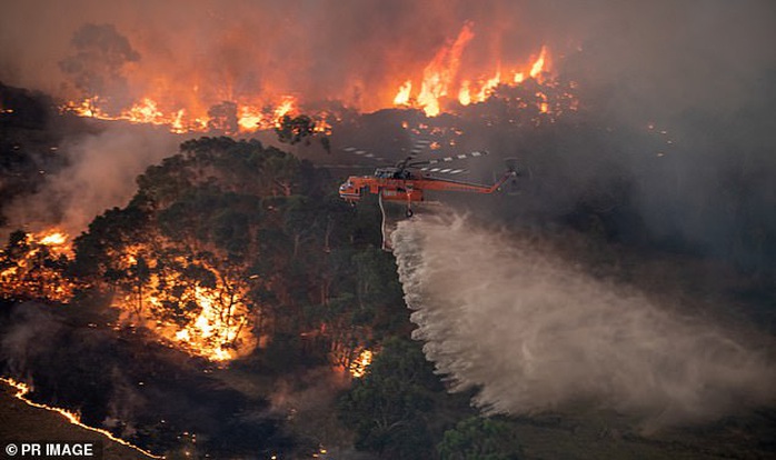 Úc: Nghi phạm gây cháy rừng họ Truong bị dọa giết - Ảnh 2.