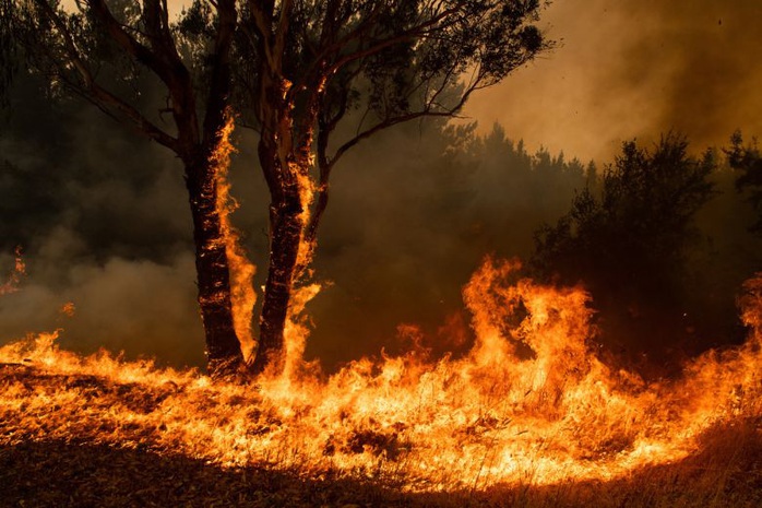 Úc: Cháy rừng hai bang nhập 1, siêu hỏa ngục hình thành - Ảnh 1.