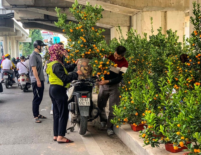 Cận cảnh nhà ga đường sắt Cát Linh - Hà Đông thành chợ cây cảnh - Ảnh 7.