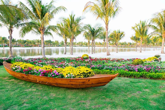Du Xuân mãn nhãn với 1.000 gốc mai quý hiếm giữa lòng TP HCM - Ảnh 4. Du Xuân mãn nhãn với 1.000 gốc mai quý hiếm giữa lòng TP HCM - Ảnh 4.