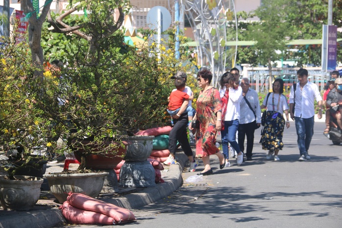 Ngắm sắc xuân về trên phố biển Nha Trang - Ảnh 1.