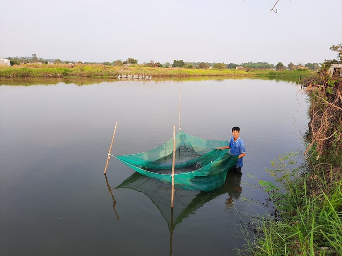 Làng tôm trên núi đá nhộn nhịp ngày cận Tết - Ảnh 1.