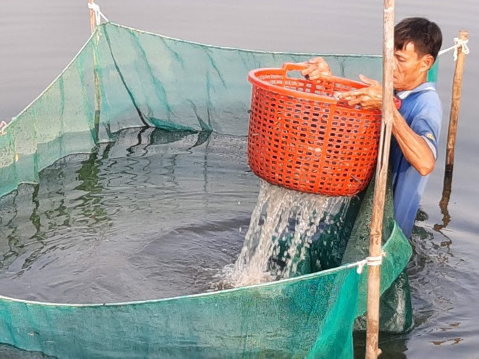 Làng tôm trên núi đá nhộn nhịp ngày cận Tết - Ảnh 2.