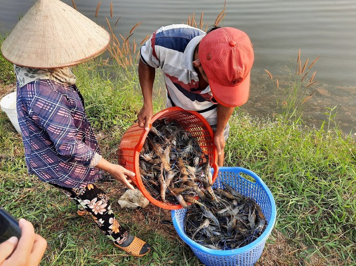 Làng tôm trên núi đá nhộn nhịp ngày cận Tết - Ảnh 3.