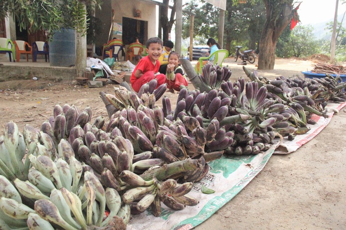 Chùm ảnh: Cận cảnh lộc rừng xuống phố, hút khách mua - Ảnh 2. Chùm ảnh: Cận cảnh lộc rừng xuống phố, hút khách mua - Ảnh 2.