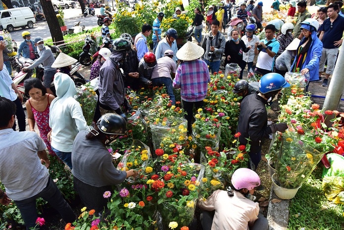 Đừng để hoa Tết đau lòng - Ảnh 1.