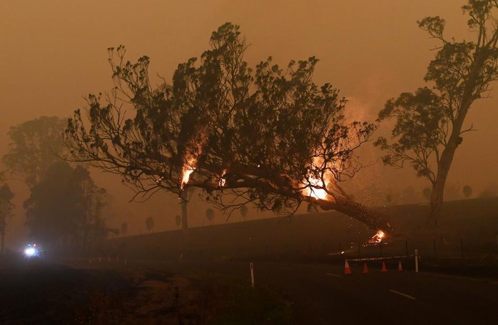 Úc bắt giữ 24 người “đổ thêm dầu vào lửa” giữa thảm họa cháy rừng - Ảnh 1.