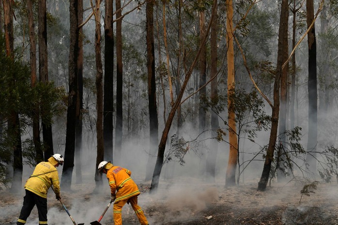 Úc bắt giữ 24 người “đổ thêm dầu vào lửa” giữa thảm họa cháy rừng - Ảnh 2.
