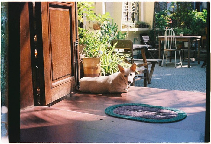 Ghim ngay 5 homestay giá dưới 500.000 đồng ở Huế dịp Tết - Ảnh 8.
