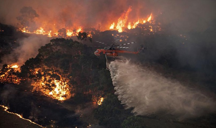Cháy rừng ở Úc: Lời cảnh báo cho toàn thế giới - Ảnh 1.