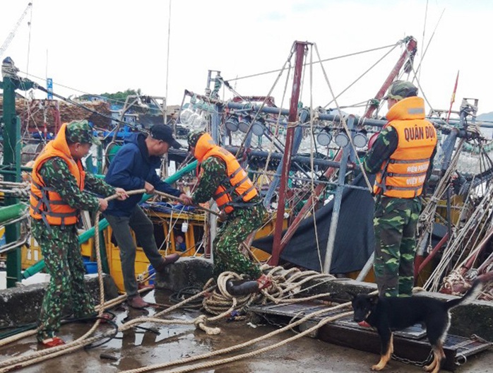 Ảnh hưởng bão số 7, Quảng Ninh cấm cầu Bãi Cháy một chiều - Ảnh 2.