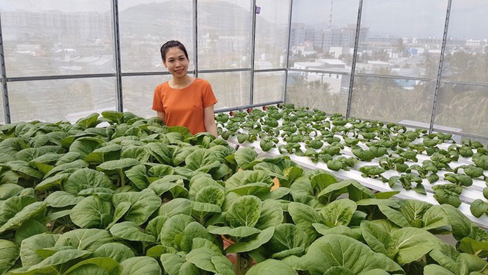 Gia đình trẻ biến sân thượng trống thành ‘khu vườn trên mây’ - Ảnh 1. Gia đình trẻ biến sân thượng trống thành ‘khu vườn trên mây’ - Ảnh 1.