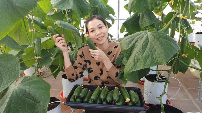 Gia đình trẻ biến sân thượng trống thành ‘khu vườn trên mây’ - Ảnh 2. Gia đình trẻ biến sân thượng trống thành ‘khu vườn trên mây’ - Ảnh 2.