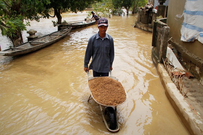 Không để dân vùng lũ bị đói rét - Ảnh 1.