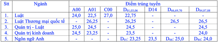 Trường ĐH Kinh tế- Luật, ĐH Luật TP HCM công bố điểm chuẩn - Ảnh 2.