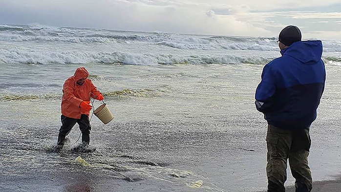 Thảm họa Kamchatka - Nga: Gần như tất cả sự sống dưới đáy biển bị xóa sổ - Ảnh 5.