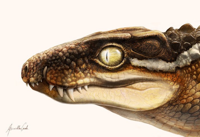 Sinh vật kinh dị 71 triệu tuổi khiến siêu khủng long phải khiếp sợ - Ảnh 1.