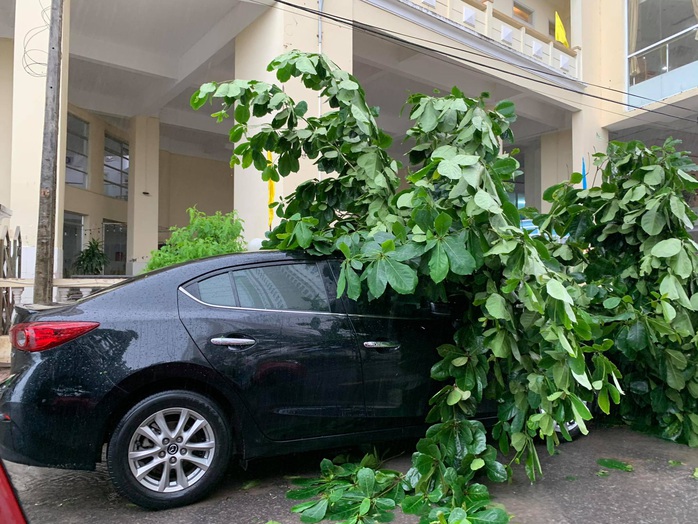 Xuất hiện đợt lũ ở mức trên dưới báo động III tại Khánh Hòa, Phú Yên - Ảnh 2.