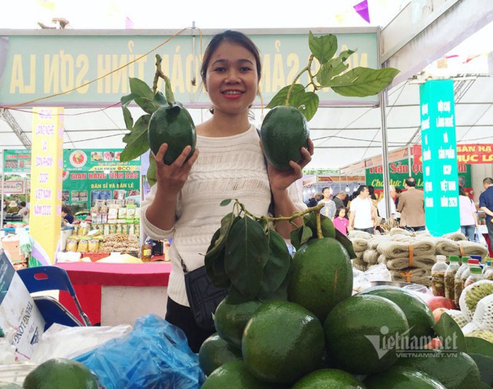Quả bơ khổng lồ nặng 2 kg, hàng trên núi về gây sốt Hà thành - Ảnh 3. Quả bơ khổng lồ nặng 2 kg, hàng trên núi về gây sốt Hà thành - Ảnh 3.