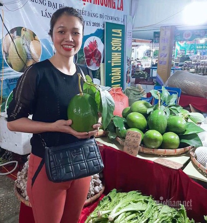 Quả bơ khổng lồ nặng 2 kg, hàng trên núi về gây sốt Hà thành - Ảnh 8. Quả bơ khổng lồ nặng 2 kg, hàng trên núi về gây sốt Hà thành - Ảnh 8.
