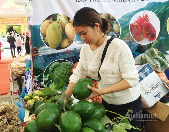 Quả bơ khổng lồ nặng 2 kg, hàng trên núi về gây sốt Hà thành - Ảnh 9. Quả bơ khổng lồ nặng 2 kg, hàng trên núi về gây sốt Hà thành - Ảnh 9.