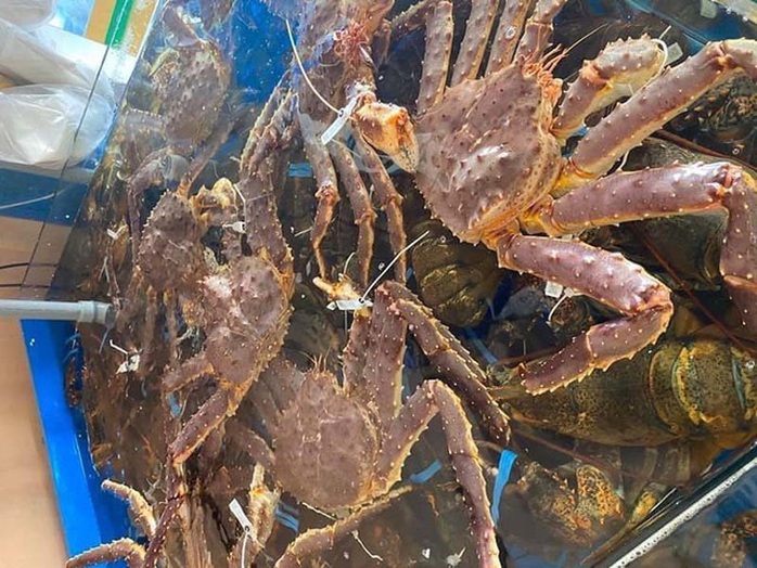 Cua hoàng đế Alaska siêu rẻ, dân Hà Nội ồ ạt mua về ăn - Ảnh 2. Cua hoàng đế Alaska siêu rẻ, dân Hà Nội ồ ạt mua về ăn - Ảnh 2.