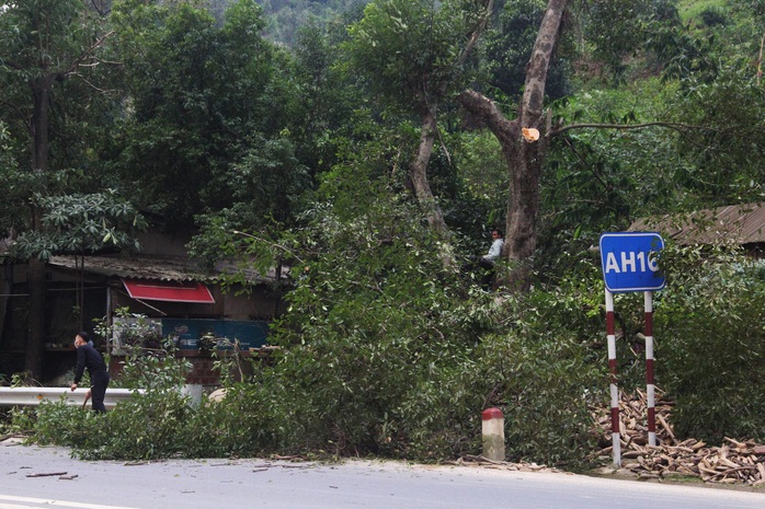 Chùm ảnh:  Quảng Trị chạy đua sơ tán dân trước khi bão số 13 đổ bộ - Ảnh 3.
