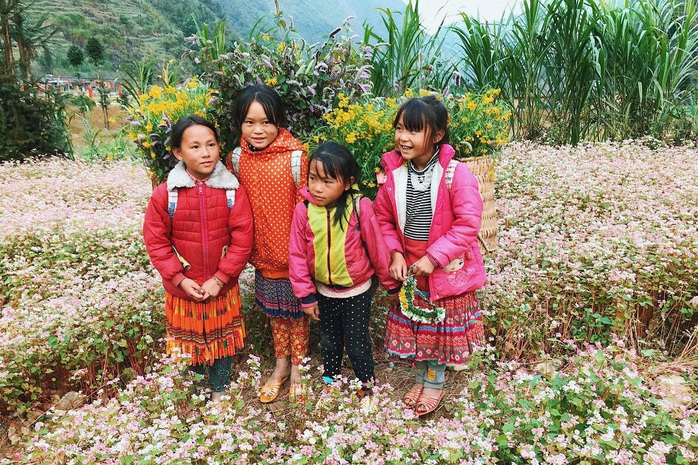 8 điểm check-in Hà Giang dịp cuối năm - Ảnh 3. 8 điểm check-in Hà Giang dịp cuối năm - Ảnh 3.