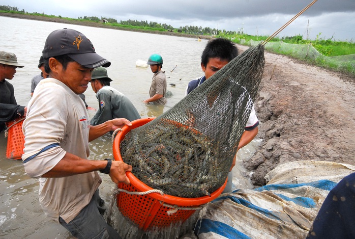 Bảo vệ người dân và môi trường là ưu tiên hàng đầu trong Quy hoạch ĐBSCL - Ảnh 3.