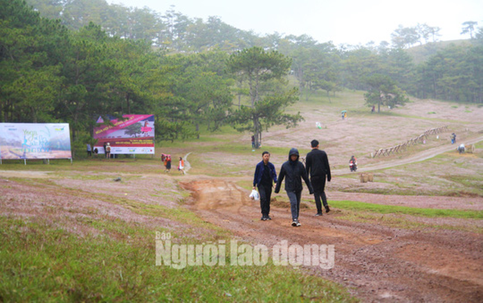 Không tổ chức mùa hội cỏ hồng Langbiang Đà Lạt 2020 - Ảnh 3.