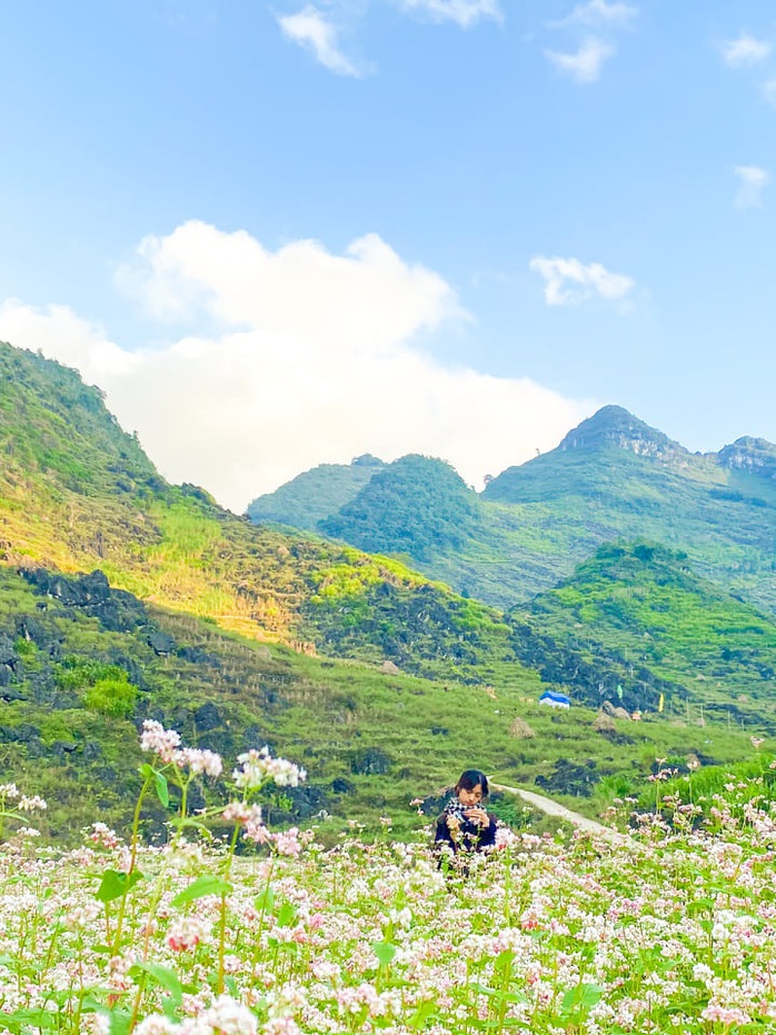 Khám phá Hà Giang mùa tam giác mạch chỉ 1,3 triệu đồng/người - Ảnh 2. Khám phá Hà Giang mùa tam giác mạch chỉ 1,3 triệu đồng/người - Ảnh 2.
