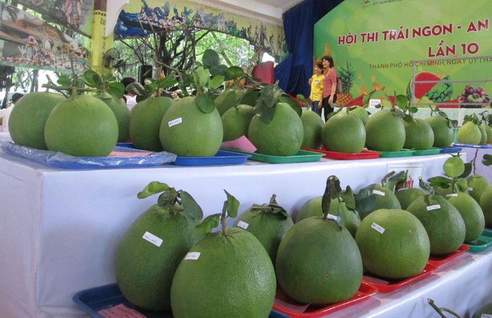 Bưởi Việt Nam có cơ hội soán ngôi bưởi Trung Quốc tại Nga - Ảnh 1.