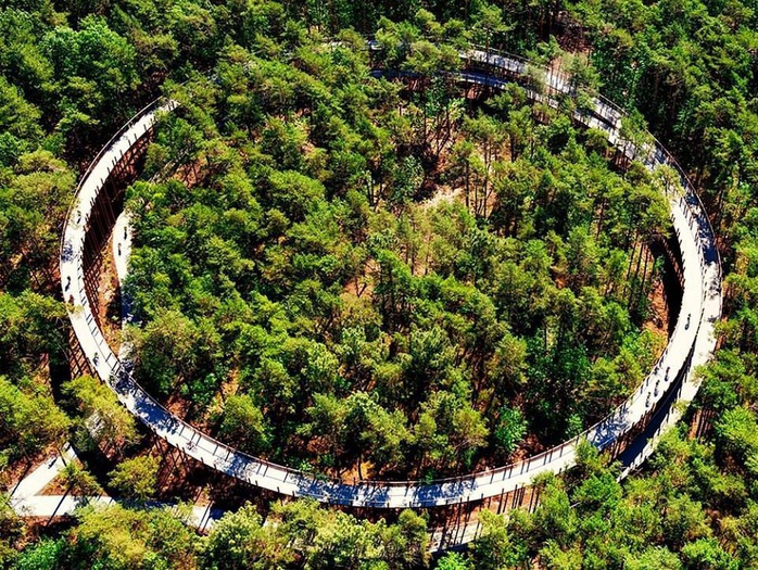 2 ngôi nhà ở Việt Nam thắng giải thưởng kiến trúc 2020 - Ảnh 4.