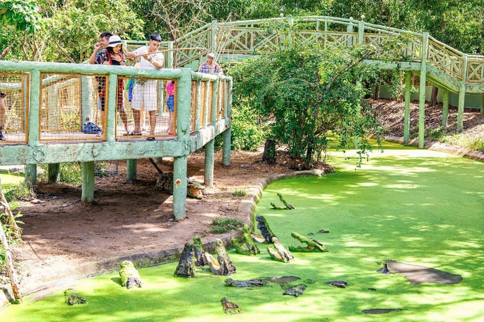 Nhiều hoạt động hấp dẫn tại Minera Hot Springs Bình Châu dịp lễ Giáng sinh - Ảnh 6.