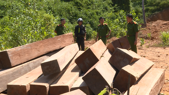 Gây thiệt hại 29.000m3 gỗ, 4 cán bộ bảo vệ rừng bị bắt - Ảnh 3.