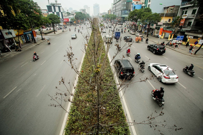 CLIP: Cận cảnh hàng cây phong lá đỏ chết khô trên con đường “đẹp nhất Việt Nam” - Ảnh 2.