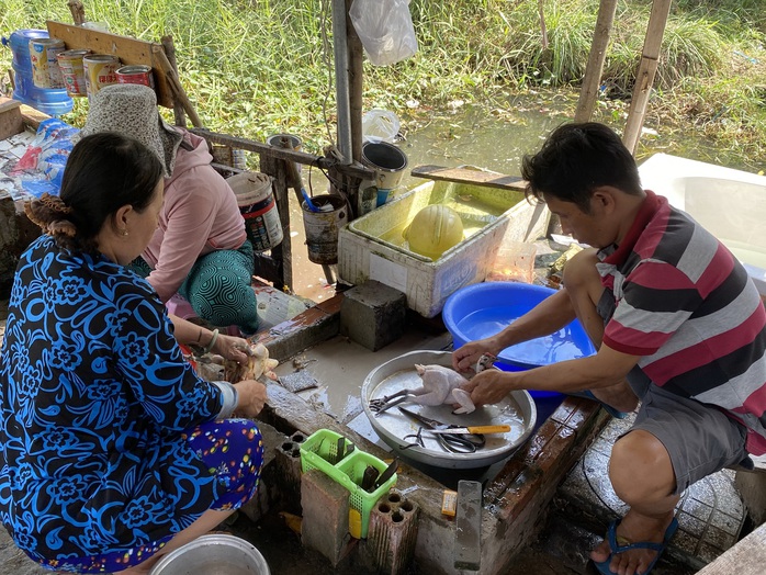 Nhiều điểm bán chim, gà tre tự phát ở TP HCM - Ảnh 8. Nhiều điểm bán chim, gà tỷ lệ kèo nhà cái hôm nay tự phát ở TP HCM - Ảnh 8.